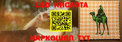 шишки Кинель
