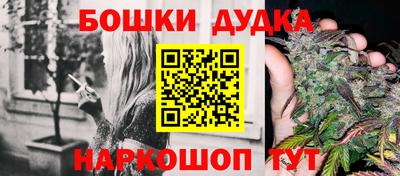 шишки Кинель