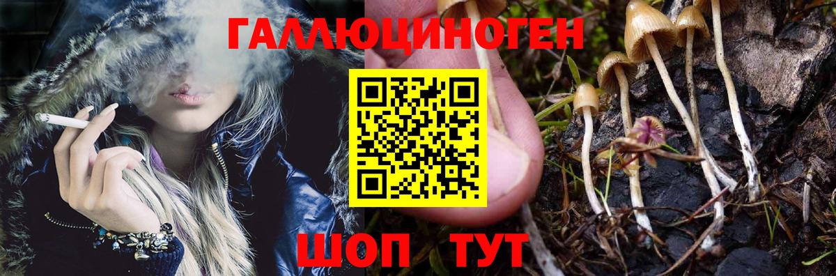 Коркино  Псилоцибиновые грибы ЛСД  Вход с VPN 