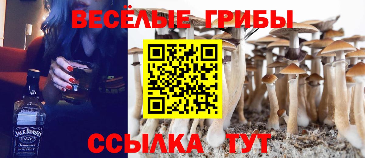 Коркино  Вход с VPN  Меф кристаллы  Амфетамин кристаллы  A PVP СОЛЬ   Конопля  МЕТАМФЕТАМИН  Кокаин  ГАШИШ  Гашиш 